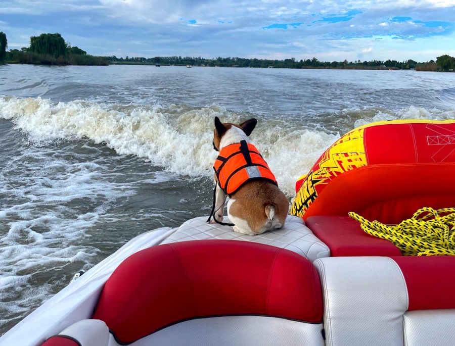 5 Bedroom Property for Sale in Boschenvaal River Front Lodges Free State